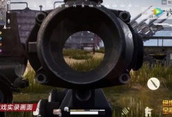 全军出击爆料视频,揭秘全新爆料视频中的精彩瞬间与战术解析